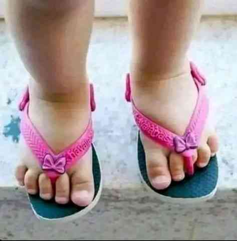 Mummy said I should follow you | MirrorLog